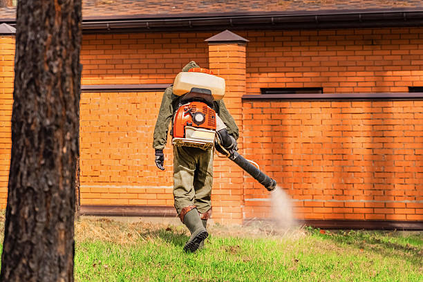 Bed Bug Clearance Verification and Documentation in Fairway